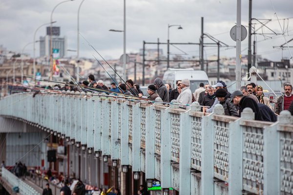 La tige : récoltez des saveurs écoresponsables à Lyon