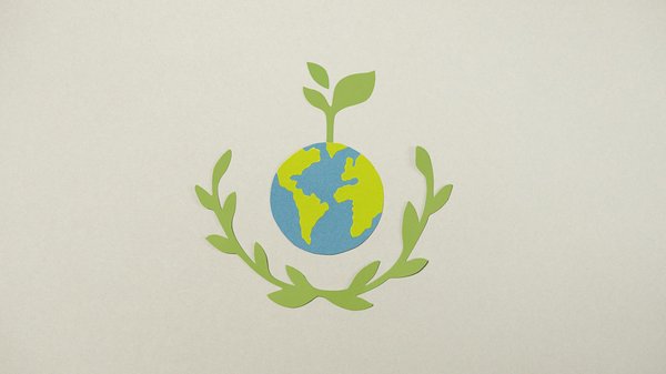 Rihanna : de Barbade au sommet des charts mondiaux